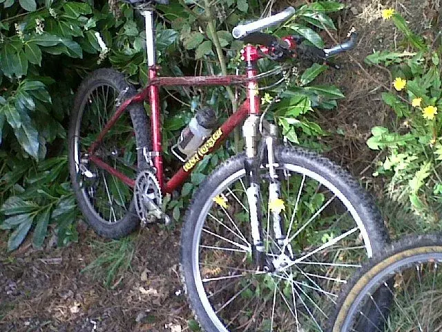 IMG-20120421-00007.webp