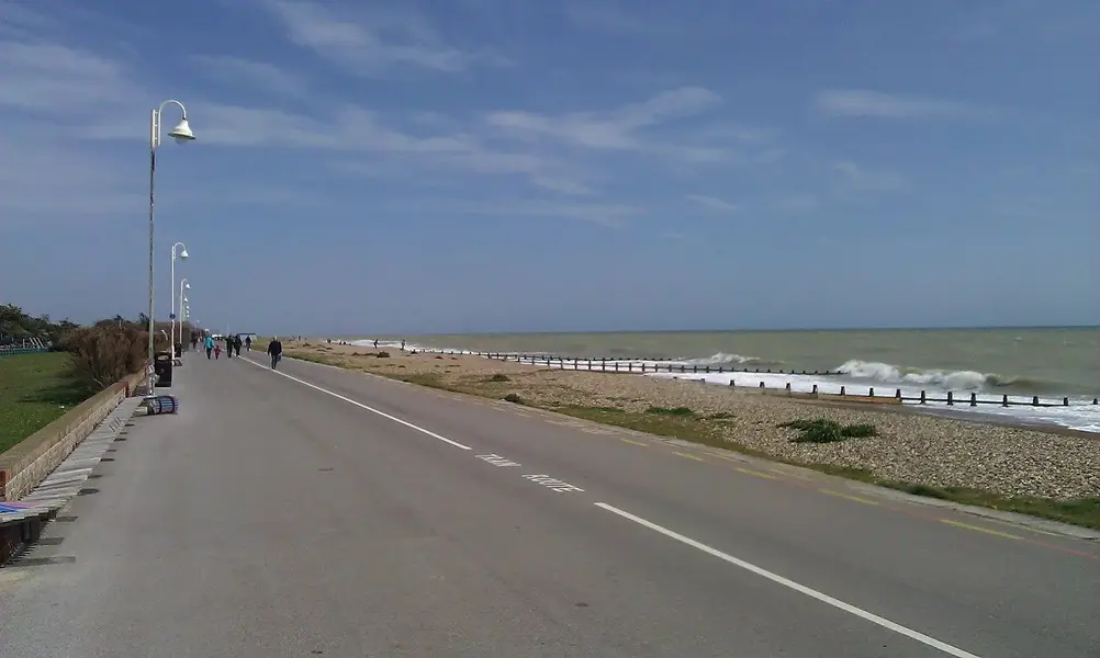 IMAG0814.webp