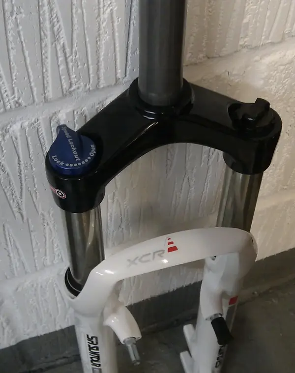 IMAG3497-1.webp
