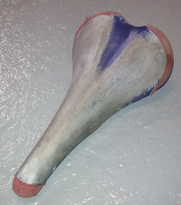 IMAG3538-1.webp