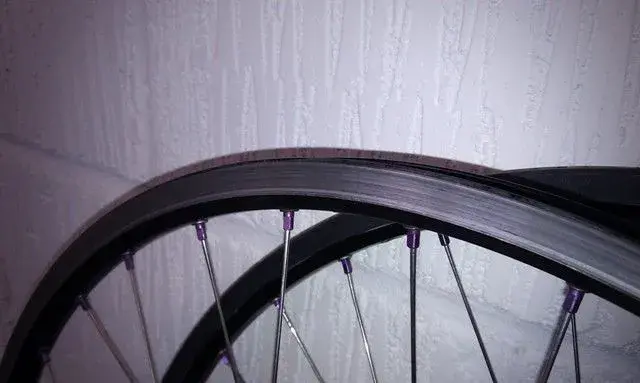 XTRWH6.6.webp