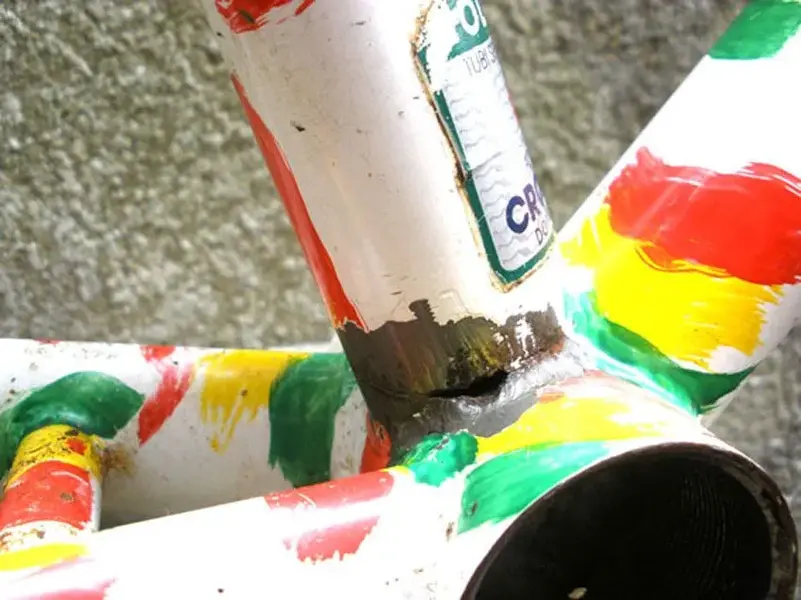 SALSA DAMAGE 2009.webp