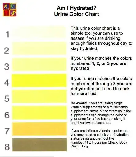 urine-chart.webp