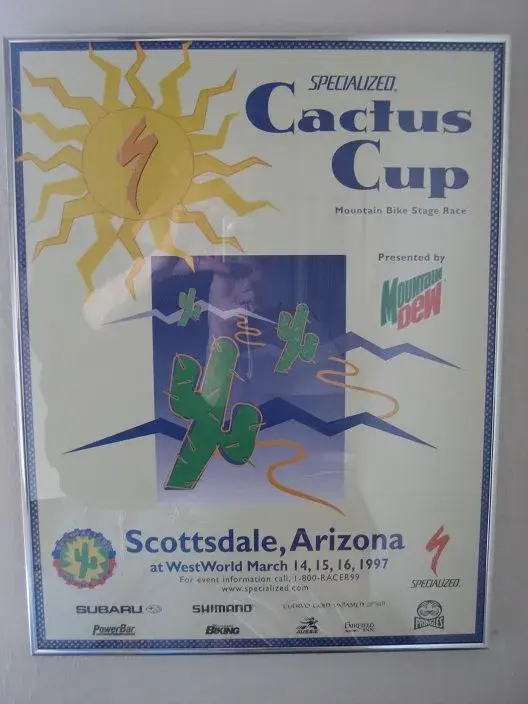 Cactus cup.webp