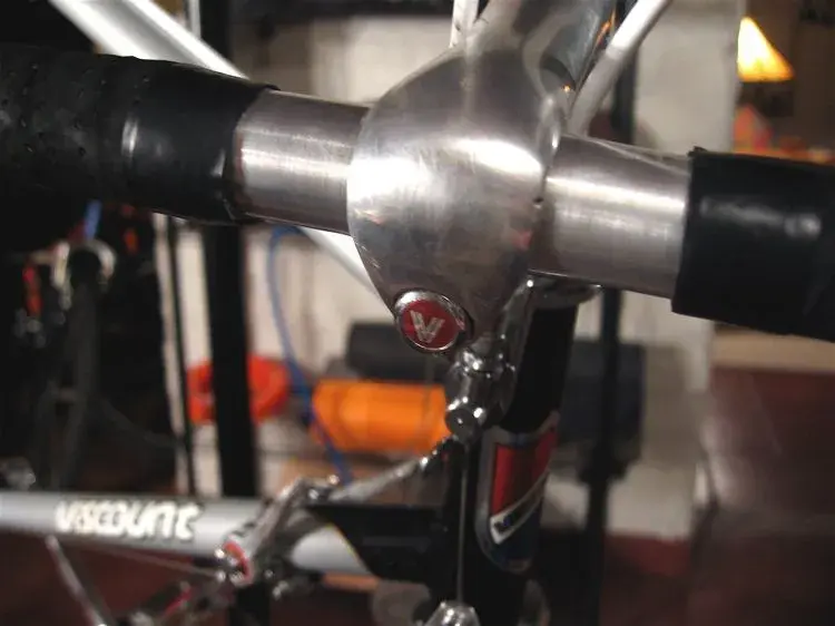 Stem close up.webp