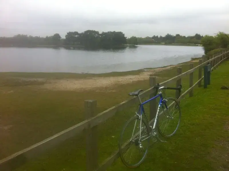 road ride.webp