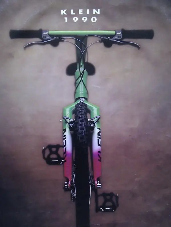 IMAG3698-1.webp