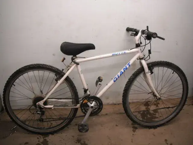 the giant bicycle 19" Giant XTC (8416 H1L)