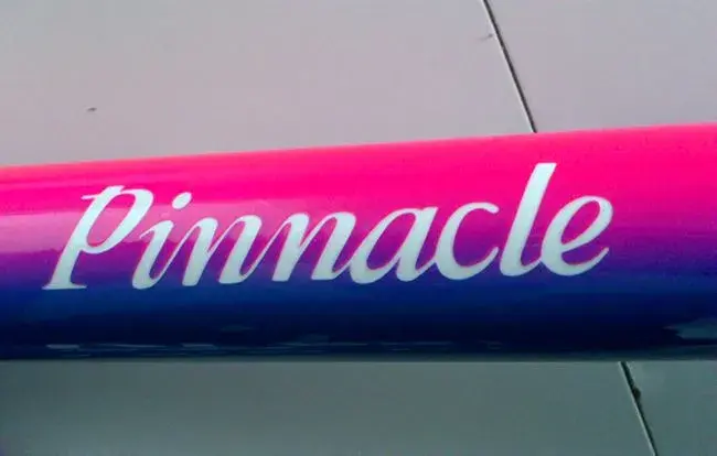 pinnaclelogo.webp