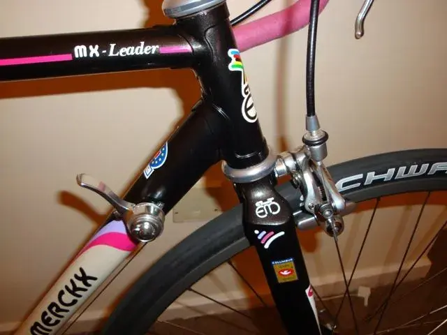 MX Leader 016w.webp