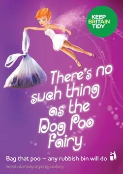 fairysmall.webp