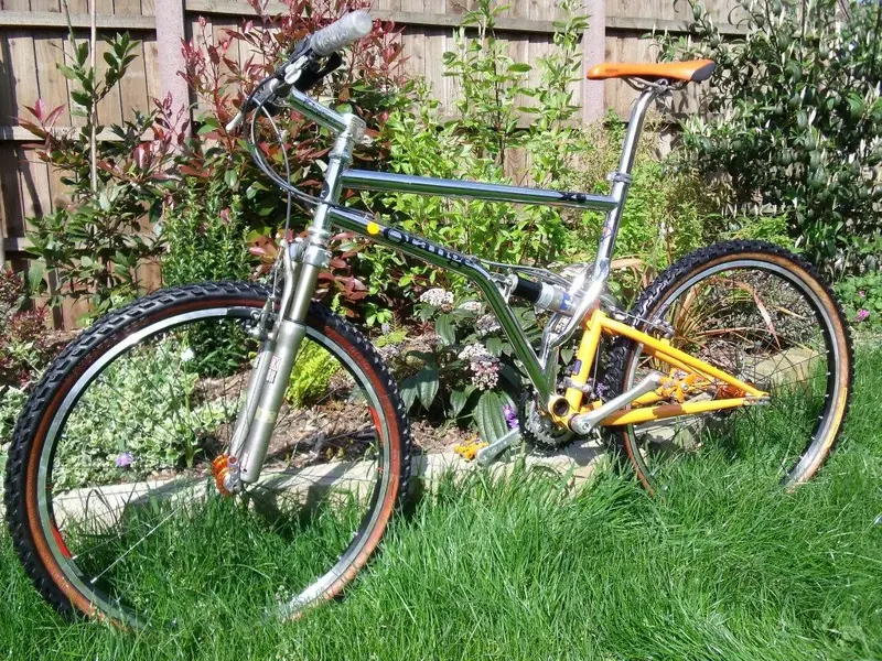 2 Orange in the sun.webp