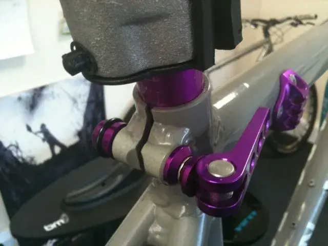 arc seat collar.webp