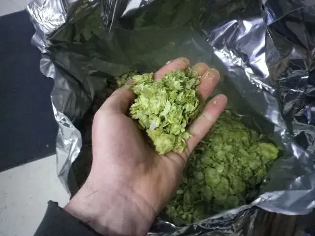 IMGP2263.webp