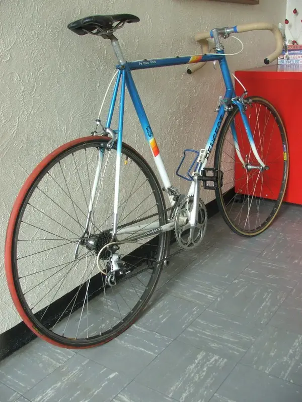 DSCF7639.webp