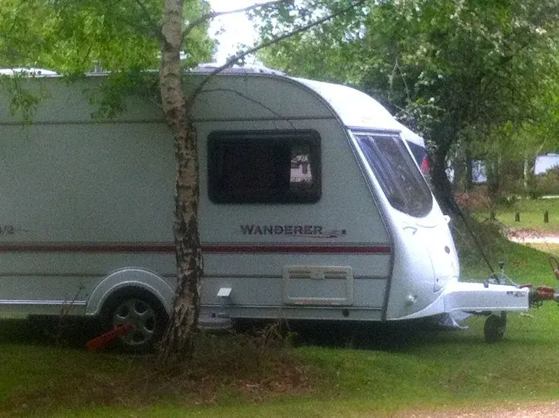 wanderer.webp