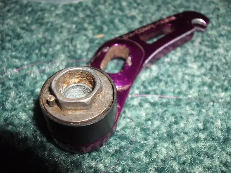 Purple Canti's.webp