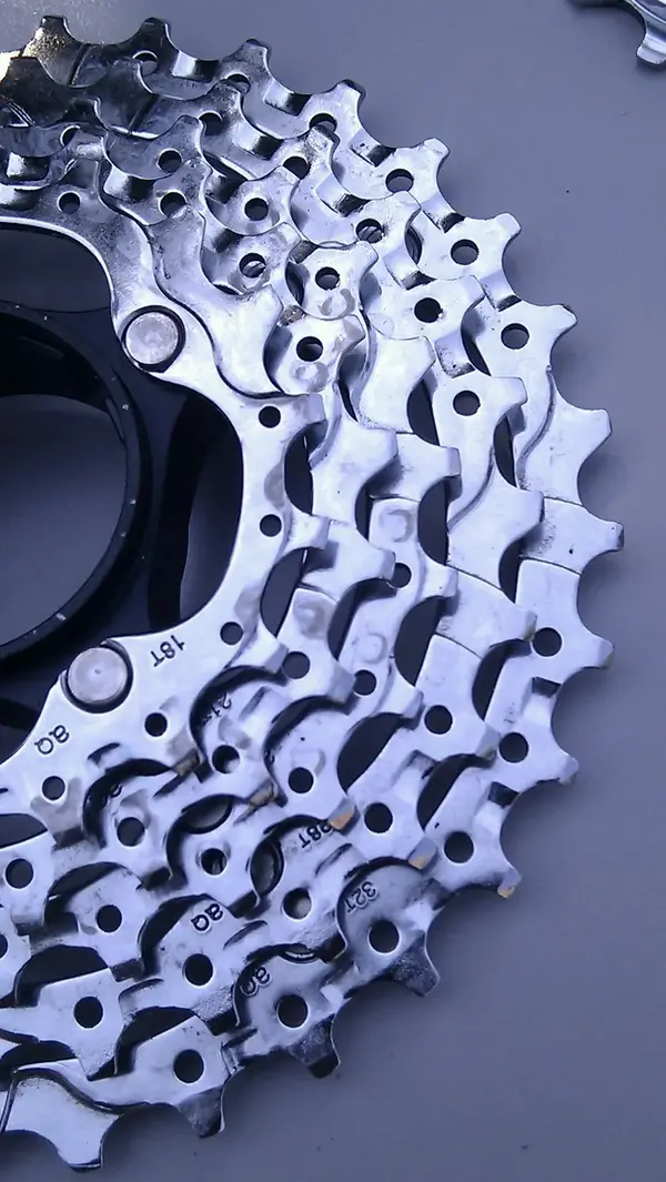IMAG3900-1.webp