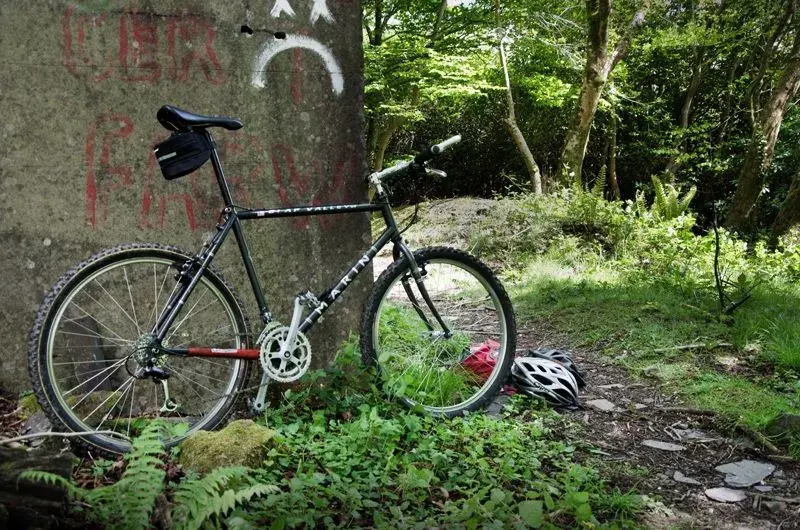 bv - wales copy.webp