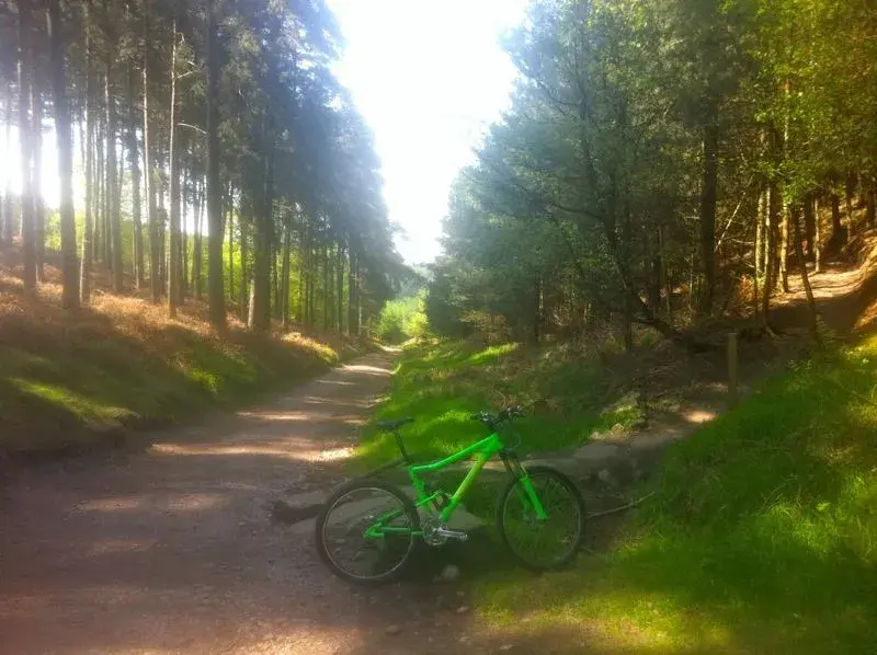 st4 at Cannock.webp