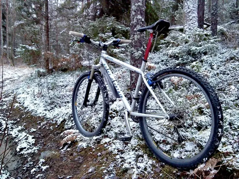 blizzard_snow.webp