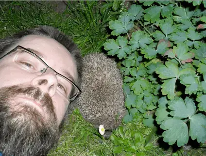 Hedgehog in garden.webp