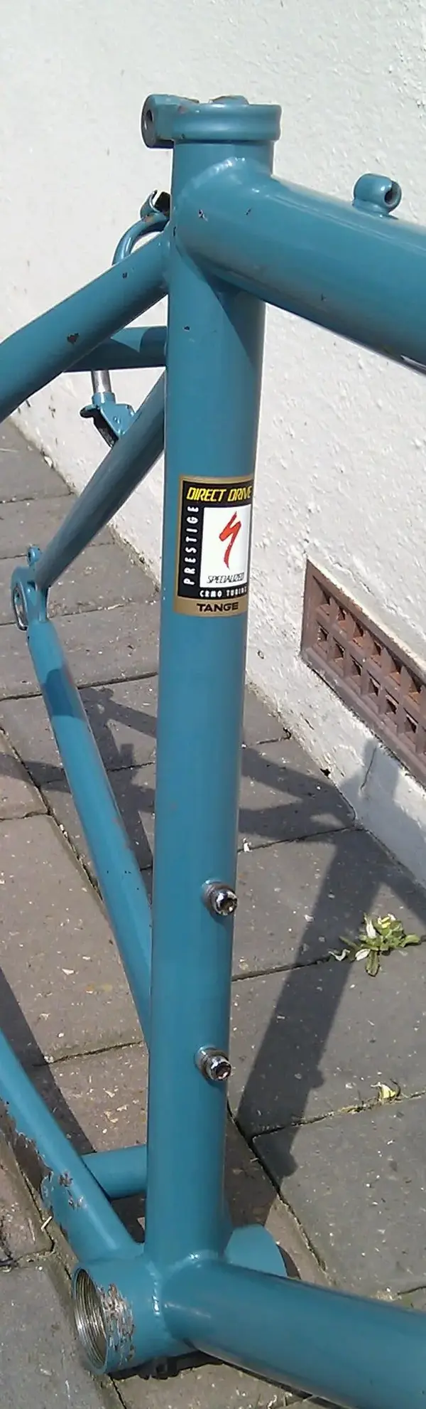 IMAG3914-1.webp