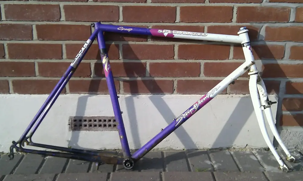 IMAG3284-1.webp