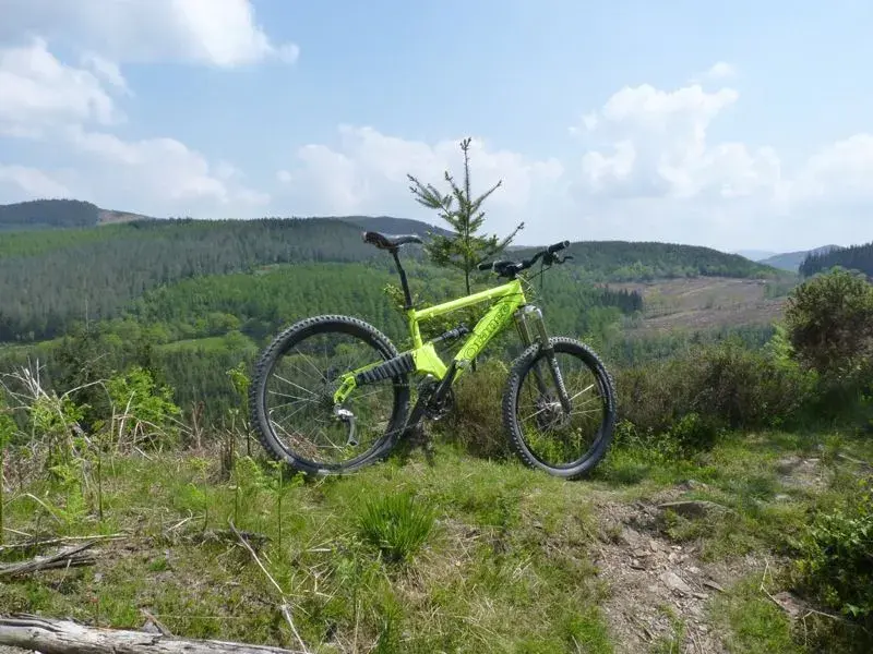 patriot at coed y brenin.webp