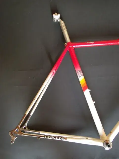 DSCF1959.webp