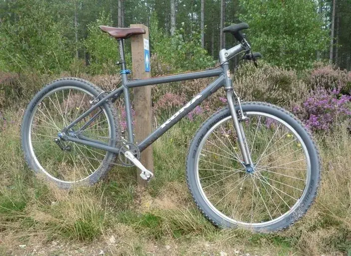singlespeed.webp