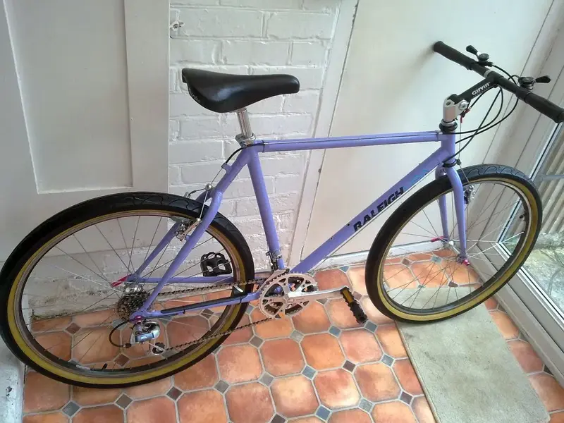 raleigh technium 4.webp