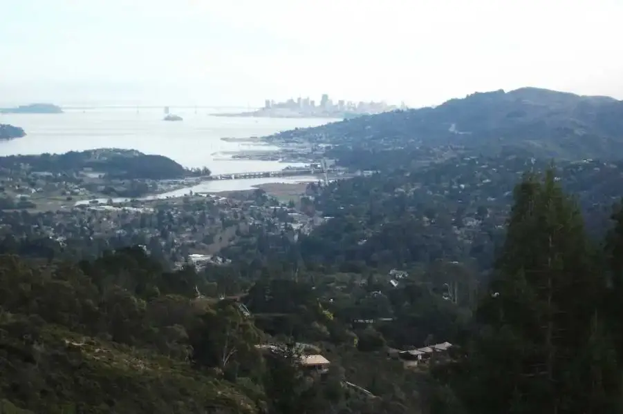 SF from Tam.webp