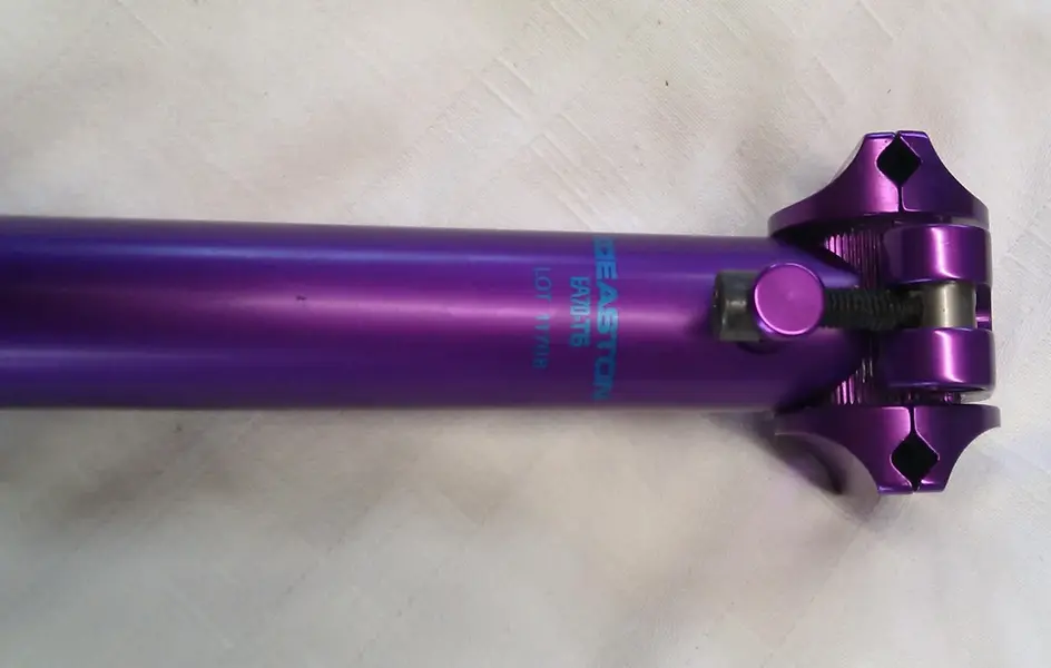 IMAG4004-1.webp