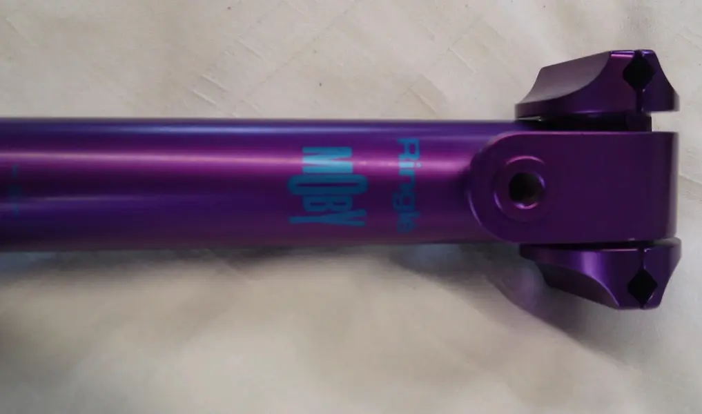 IMAG4003-1.webp