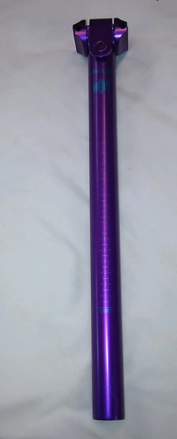 IMAG3998-1.webp
