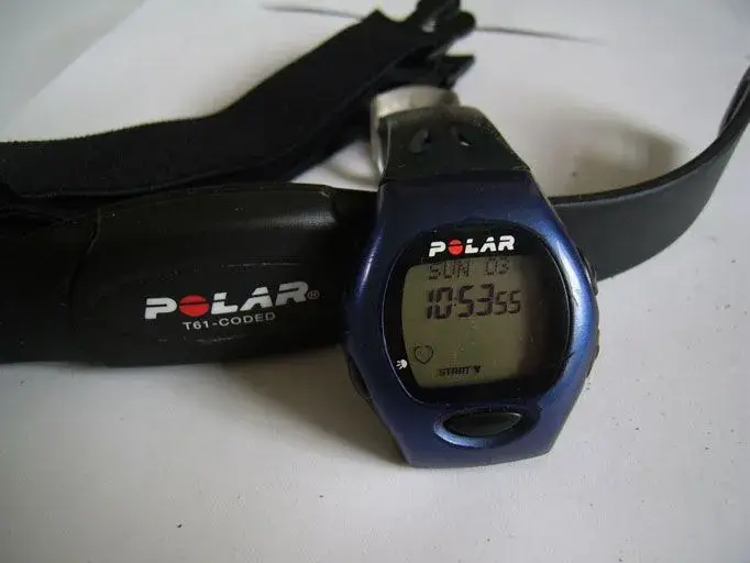 Polar4.webp