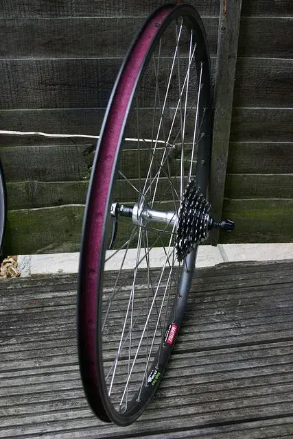wheel2.webp