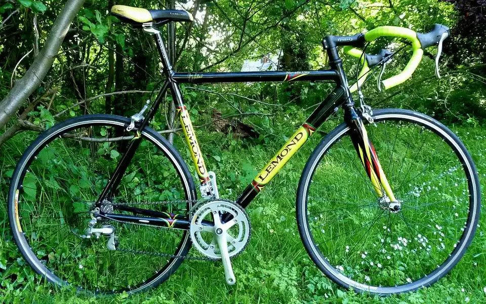 Lemond 1.webp