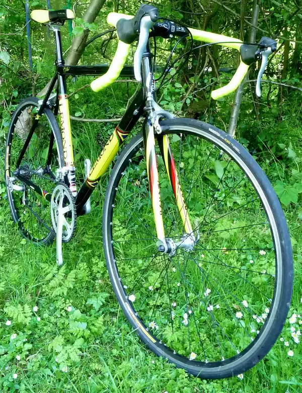 Lemond 2.webp