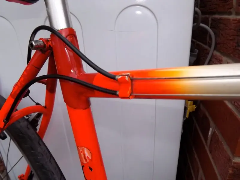 DSCF1774.webp