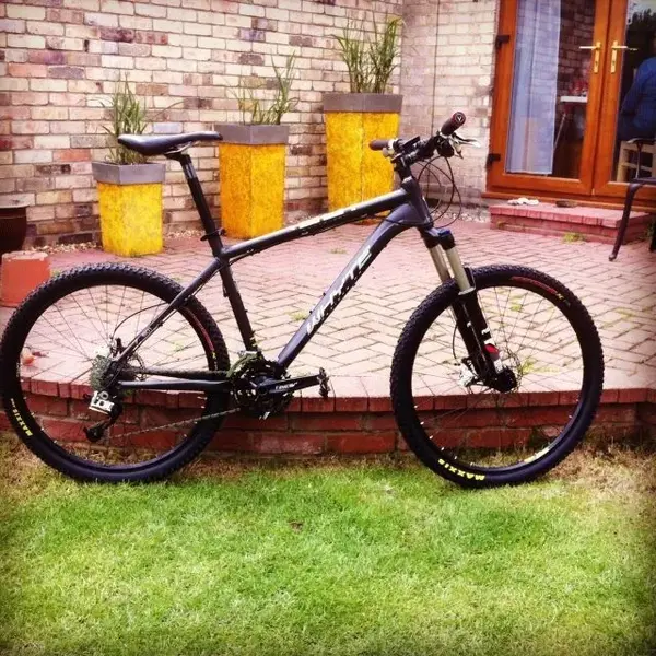 whyte901.webp