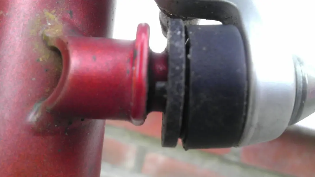 IMAG0160.webp