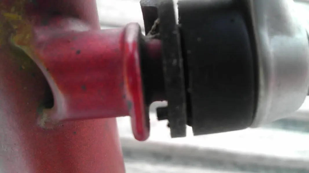 IMAG0159.webp