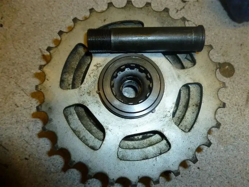 P1000317 (Large).webp