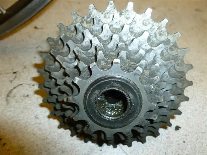 P1000315 (Large).webp