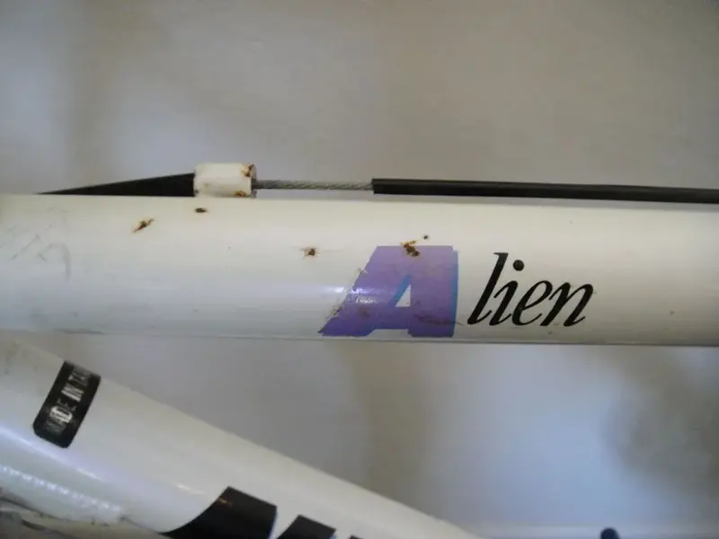 Alien Rust.webp
