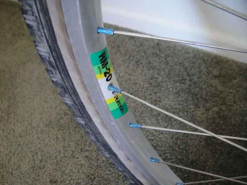 Alien Rims.webp