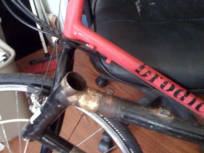 photo Romax dead 1.webp