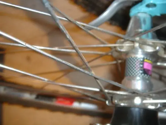 DSC00002.webp